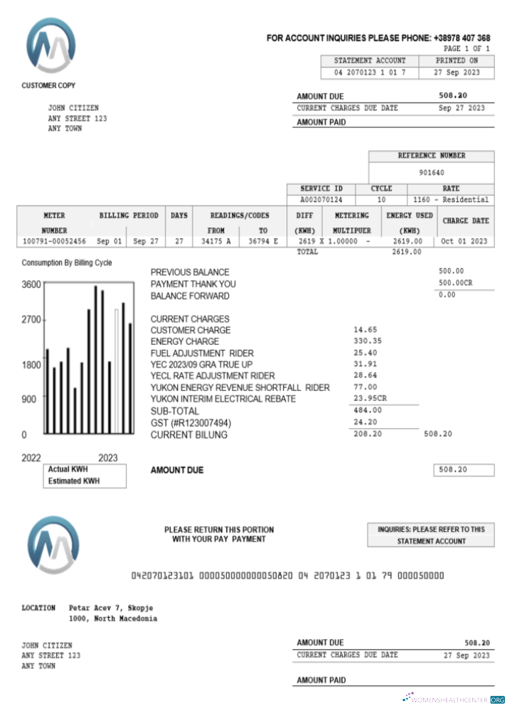 download download Macedonia MGI Energetika utility bill Word and PDF template PDF template PDF template